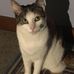 Profile Picture of Daniel Porteus (@daniel.porteus.39) on Facebook