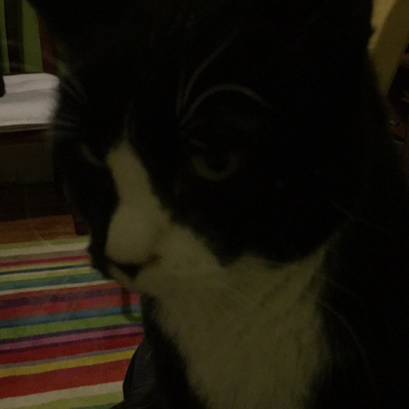 Profile Picture of Eric Alan (@ericalan) on Poshmark