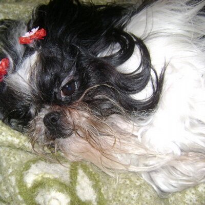 Profile Picture of Muriel Lopes Silva (@LdS_Muriel) on Twitter