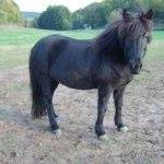 Profile Picture of Eva Brehm (@eva.brehm.7) on Facebook