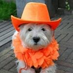 Profile Picture of Inchkeith Luckey (@inchkeith) on Instagram