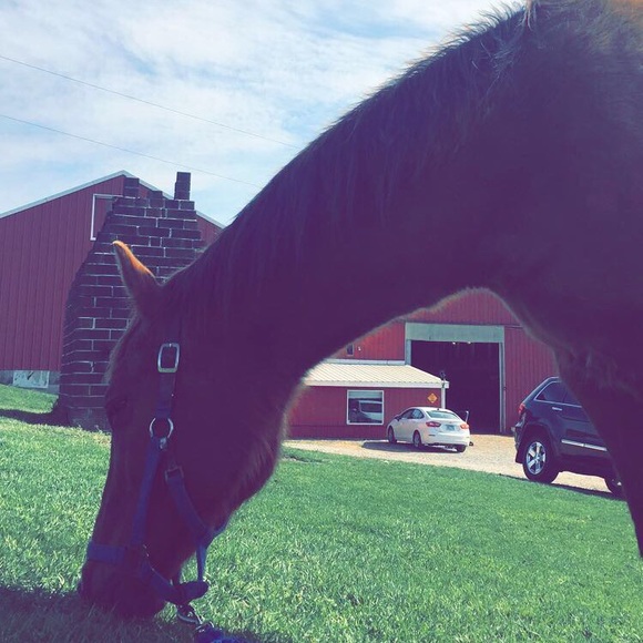 Profile Picture of Kathy Mannello (@gardenk) on Poshmark