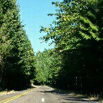 Profile Picture of kent oelke (@kentfrederick) on Instagram