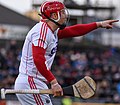 Profile Picture of Anthony Nash (hurler)on Wikipedia