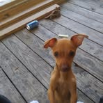 Profile Picture of Joann Foster (@joann.foster.14418) on Facebook