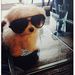 Profile Picture of Bryan Bellack (@bbellack) on Pinterest