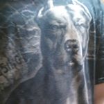 Profile Picture of codyrushing (@codyrushing10) on Instagram