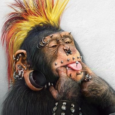 Profile Picture of SpaceMonkeyMafia™ (@JasonEmory7797) on Twitter