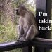 Profile Picture of Debbie Monk (@debbie.monk.756) on Facebook