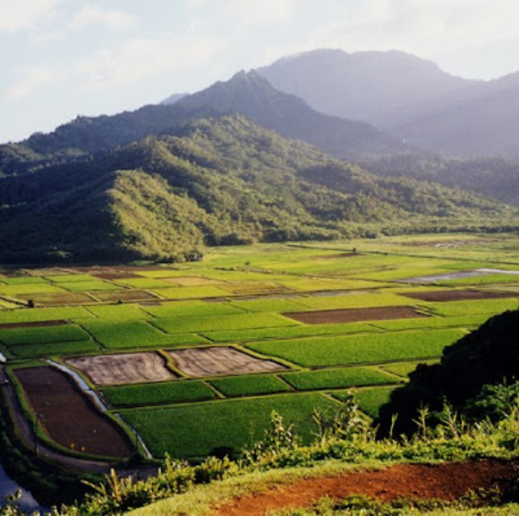 Profile Picture of Jimmy Anderson (@jimmyanderso615) on Poshmark