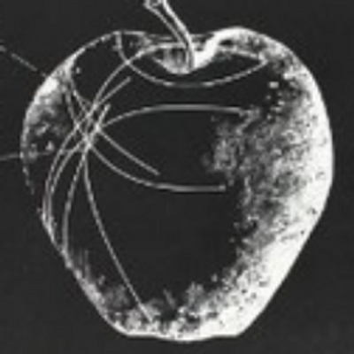 Profile Picture of Michael Silveira (@micro_gravity) on Twitter