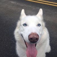 Profile Picture of Lori Benson (@lori-benson-19) on Quora