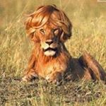 Profile Picture of Tilmann Rudorff (@tilmannrudorff) on Instagram