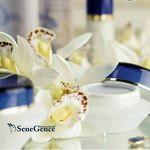 Profile Picture of Julie Shields (@facial_attraction_senegense) on Instagram