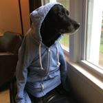 Profile Picture of Joey Davidson (@jdperm78) on Instagram