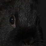 Profile Picture of Greg Bartram (@Greg Bartram/betterImage) on Flickr