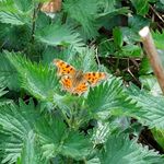 Profile Picture of Tracey Garczynski (@traceygarczynski) on Instagram