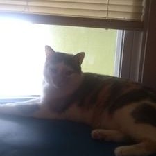 Profile Picture of Maddy Peters (@MaddyPeters16) on Twitter