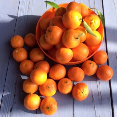 Profile Picture of Dick De Cloe (@DickdeCloe) on Twitter