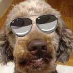 Profile Picture of Patrick Twomey (@paddy2me) on Instagram