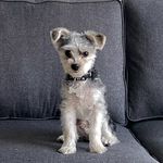 Profile Picture of Leo King Manera (@leokingmanera) on Instagram