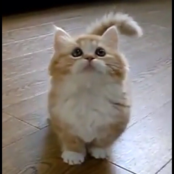 Bailey Boyer - Poshmark Profile Picture of Bailey Boyer (@mojosodopeyo) on Poshmark