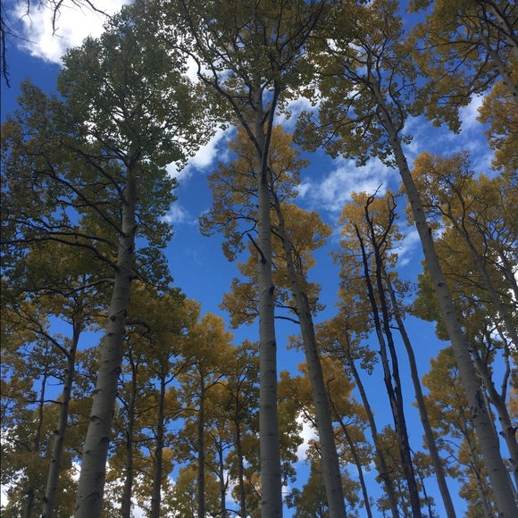 Profile Picture of Jeff Orr (@jefforr832) on Poshmark