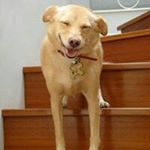 Profile Picture of Pamela Huang (@snowhite0907) on Instagram