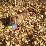 Profile Picture of Trisha Edwards (@trisha.edwards.3139) on Instagram