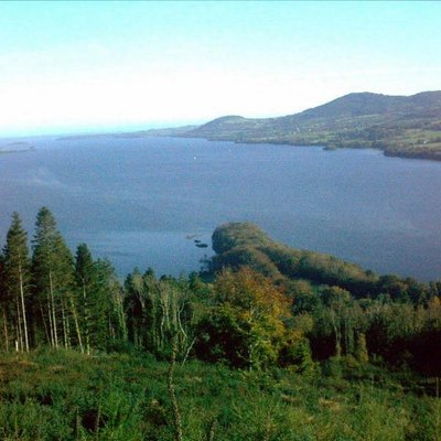 Profile Picture of Nessa Ryan (@NessaRyan2) on Twitter