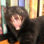 Profile Picture of Tim Barlow (@zentiem) on Instagram