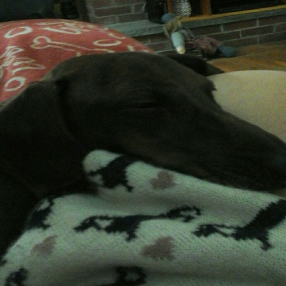 Profile Picture of Cindy Beley (@ccbeley) on Poshmark