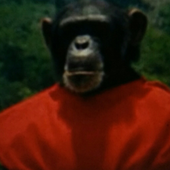 Profile Picture of Jayson Leach (@varyous) on Poshmark