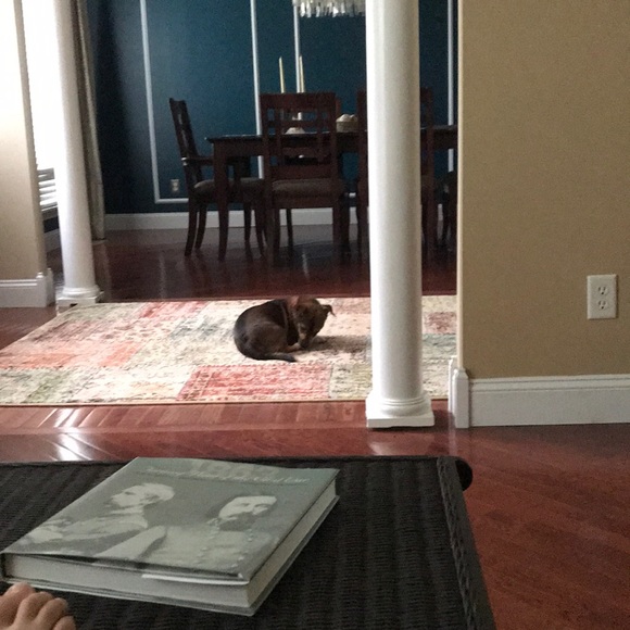 Profile Picture of Alex Melching (@alexmelching) on Poshmark