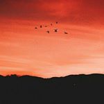 Profile Picture of Luka dan Luka (@lukateutic) on Instagram