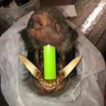 Profile Picture of Brock Clements (@bush.salty.life) on Instagram