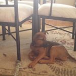 Profile Picture of Edward Boyd (@edward.boyd.9277) on Instagram