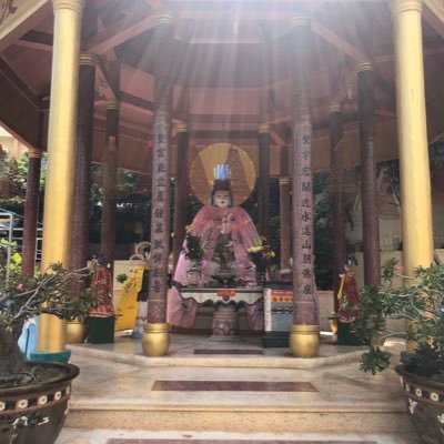 Profile Picture of Intoximoto (@glenn_pickering) on Twitter
