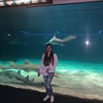 Nancy Santos Reyes - Instagram Profile Picture of Nancy Santos Reyes (@nancysantos1) on Instagram