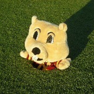 Profile Picture of Paul Fritz (@PFritz21) on Twitter