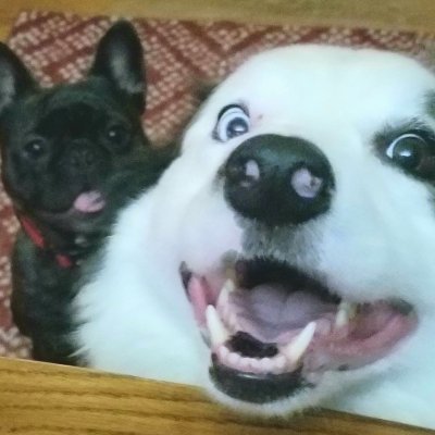 R. Scott Greenlee - Twitter Profile Picture of R. Scott Greenlee (@RScottGreenlee) on Twitter