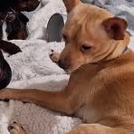 Profile Picture of Debra Ann Bates (@dgdgegerfefdfs) on Facebook