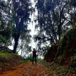 Profile Picture of Guillermo Narvaez (@guillermo.narvaez.73744) on Instagram