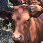 Profile Picture of Colton Casey (@coltonraycasey) on Instagram