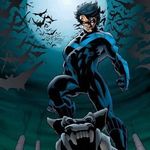 Profile Picture of Richard (Dick) Grayson (@the_protecter_of_bludhaven) on Instagram