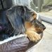 Profile Picture of Molly FossKerill (@profile.php) on Facebook
