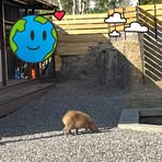 Profile Picture of Kenneth Pilot (@kenneth.pilot.50) on Facebook