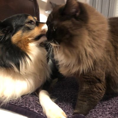 Profile Picture of Debbie Bertram (@DebbieBertram10) on Twitter