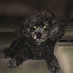 Profile Picture of Gavin Galloway (@gavingalloway07) on Instagram