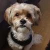 Profile Picture of Danny Dixon (@@dannydixon1) on Tiktok
